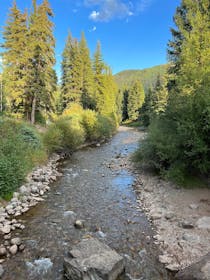 Enjoy Insane Fishing at Gore Creek