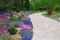Explore Betty Ford Alpine Gardens