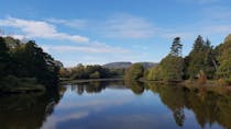 Explore Witley Court Turn