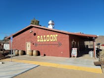 Enjoy the lively atmosphere at The Red Dog Saloon