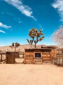 Experience the Old West at Desert Willow Ranch