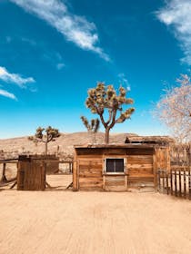 Experience the Old West at Desert Willow Ranch