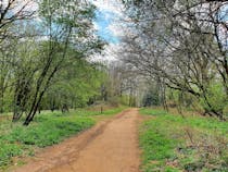 Explore the Hidden Valleys of Shotover Country Park