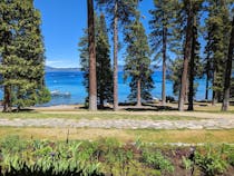 Explore Ed Z'berg Sugar Pine Point State Park