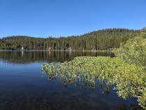 Explore Serene Lakes: A Quaint and Beautiful Natural Feature