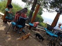 Relax at Tahoe Waterman's Landing Beach Club