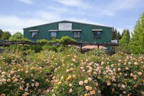 Experience the Delights of Dutton-Goldfield Winery