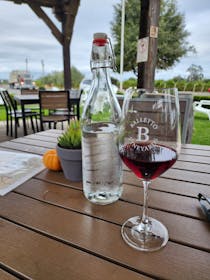 Savour Balletto Vineyards' Stunning Views and Phenomenal Wines