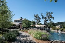 Explore Kunde Family Winery