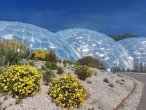 Explore the Global Biomes at Eden Project