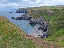 Spot Seals at Mutton Cove