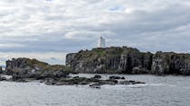 Explore the Diverse Wildlife of Isle of May