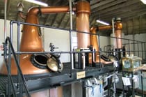 Taste the Divine Whiskey at Daftmill Distillery