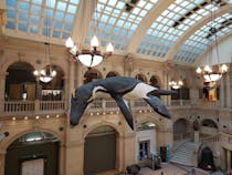 Explore Bristol Museum & Art Gallery
