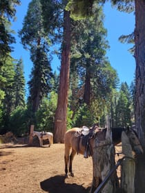 Explore Camp Richardson Corral