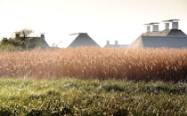 Explore Snape Maltings