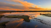 Explore the Breathtaking Beauty of RSPB Minsmere