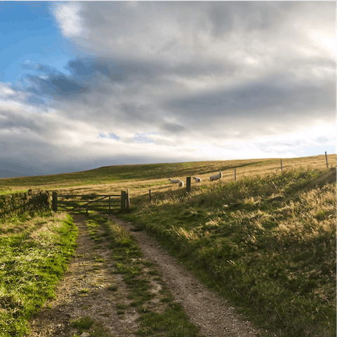 Explore beautiful North Yorkshire from your location, a seven-minute walk from Ripon