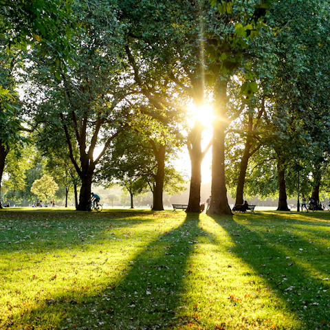 Start the day with a refreshing stroll through Hyde Park