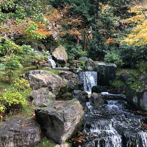 Enjoy a breath of fresh air at Holland Park, just ten minutes away on foot