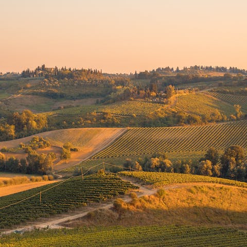 Hike the Dievole Natural Path that leads to the winery estate