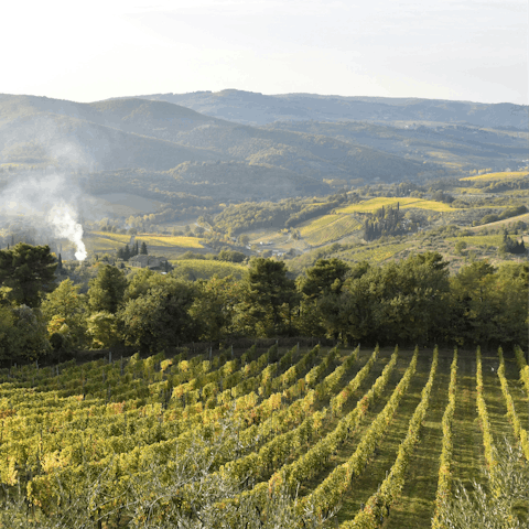 Be inspired by the natural beauty of Greve in Chianti