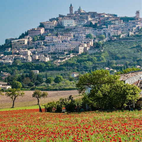 Visit the Umbrian hilltop town of Trevi, a half-hour drive away