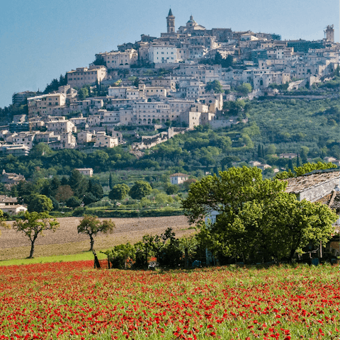 Visit the Umbrian hilltop town of Trevi, a half-hour drive away