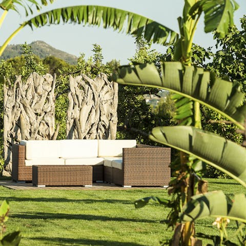 Hang out in the shade of banana trees