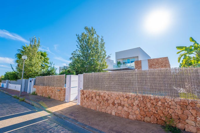 Seashells On The Shore