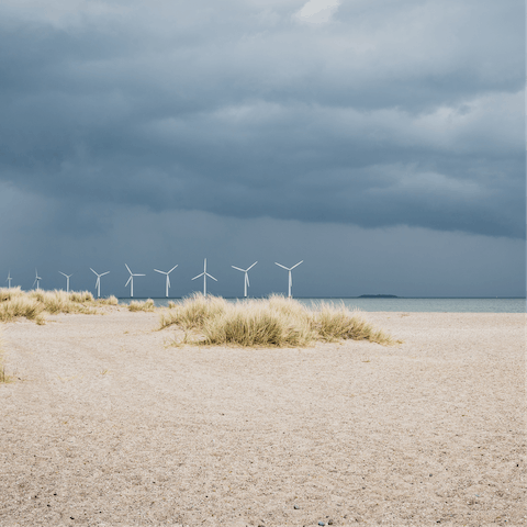 Go for a morning swim at Amager Strand nearby