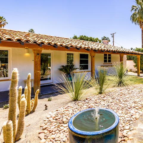 Take a wander in the cactus garden