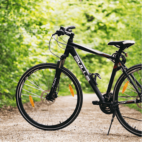 Rent a bicycle and explore the Swiss countryside in warmer weather