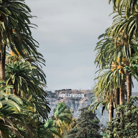 Stay in Beverly Hills, near luxe boutiques and elegant eateries