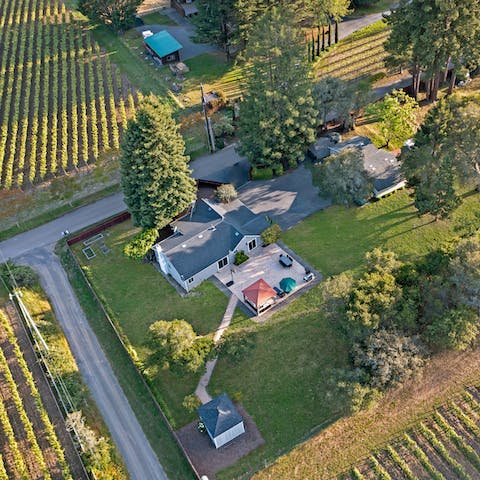 Stay in a tranquil location surrounded by vines in every direction