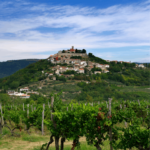 Enjoy a scenic drive through Istria to Motovun