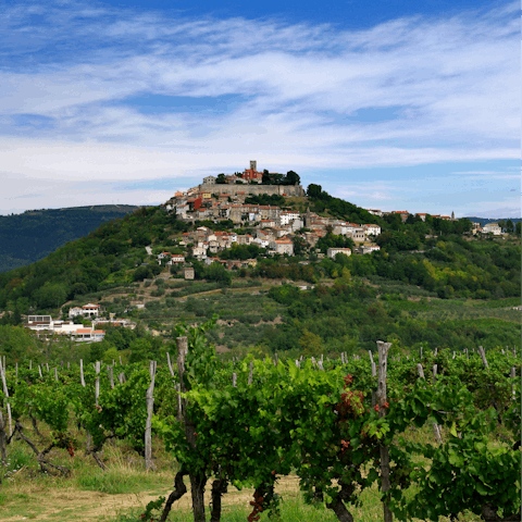 Enjoy a scenic drive through Istria to Motovun