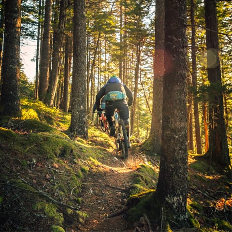Cycle the picturesque trails in the Auvergne-Rhône-Alpes region