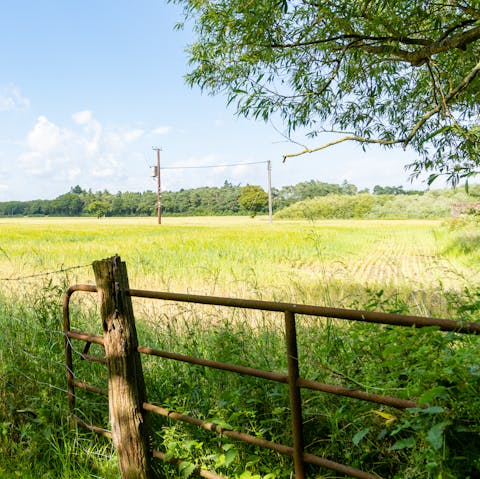 Wander through Kent's glorious countryside that surrounds your home