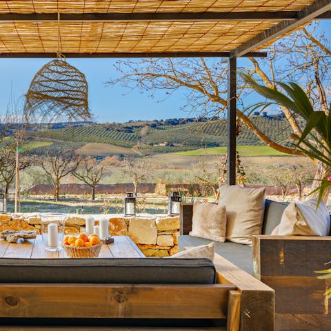 Take in the Andalusian countryside from one of several outside living areas