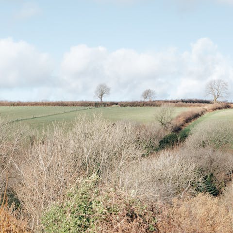 Explore the glorious Pembrokeshire countryside, right on your doorstep