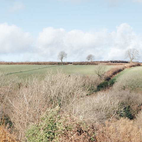 Explore the glorious Pembrokeshire countryside, right on your doorstep