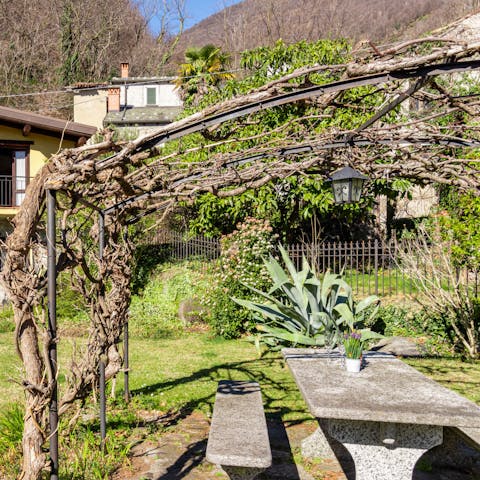 Dine alfresco beneath the shade of the grapevines