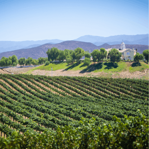 Explore Paso Robles wine country