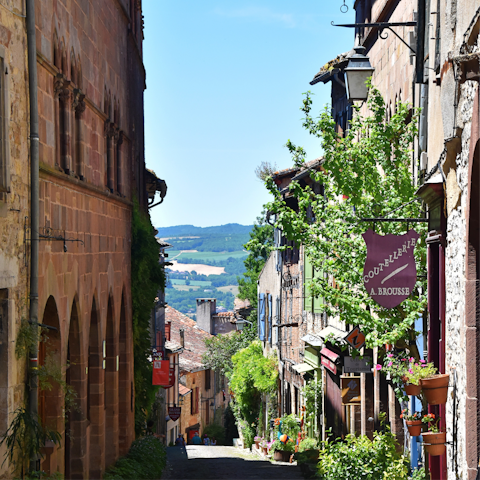 Explore the cobbled streets of nearby Cordes-sur-Ciel