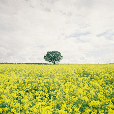 Enjoy a refreshing retreat in the Hertfordshire countryside