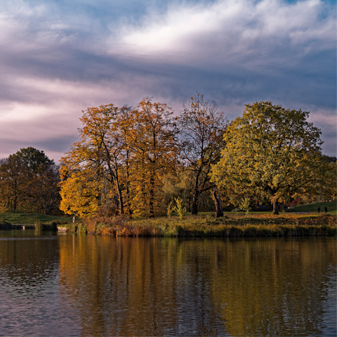 Go for a walk through Hampstead Heath, five minutes away