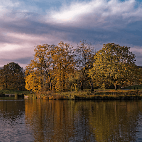 Go for a walk through Hampstead Heath, five minutes away