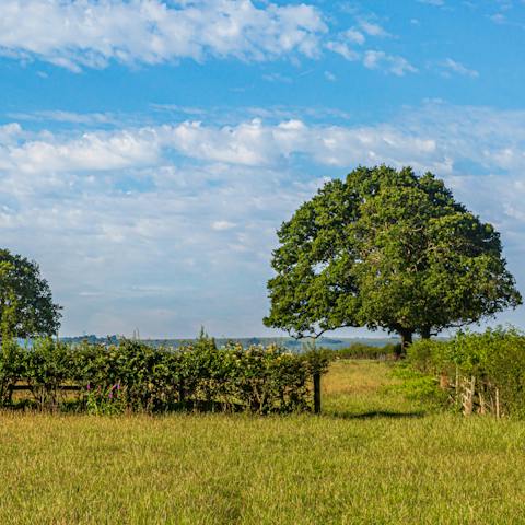 Explore the Cornish countryside on your doorstep from this working farm