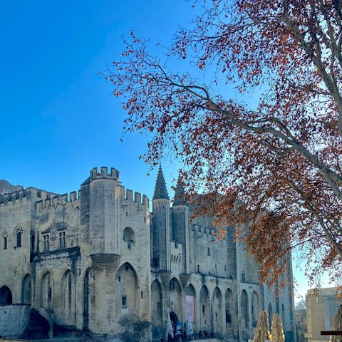 Hop in a car and discover the region's historic buildings, like Palais des Papes